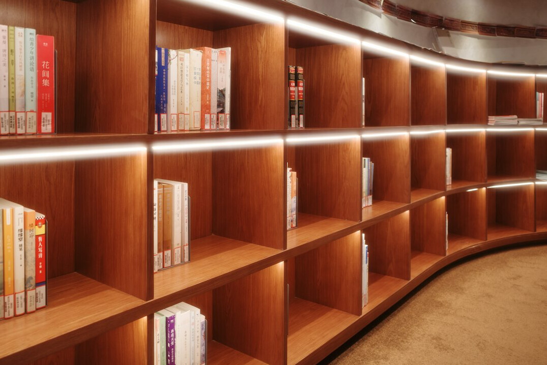 Several books lined up on a wooden shelf