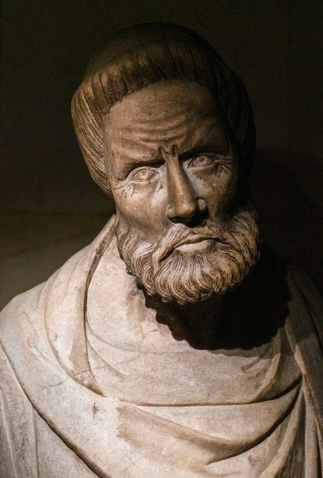 Portrait of a Polish man historian with a short beard