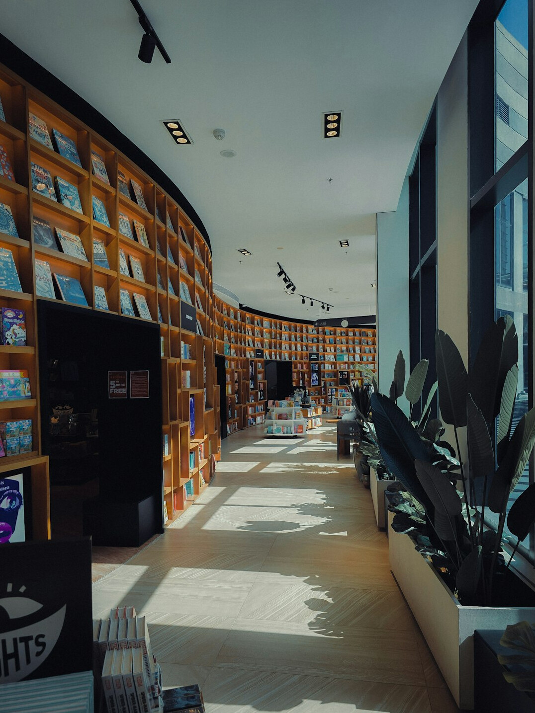 Rows of books on library shelves